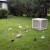 I love hanging out with these guys.  They make me laugh and laugh and laugh.