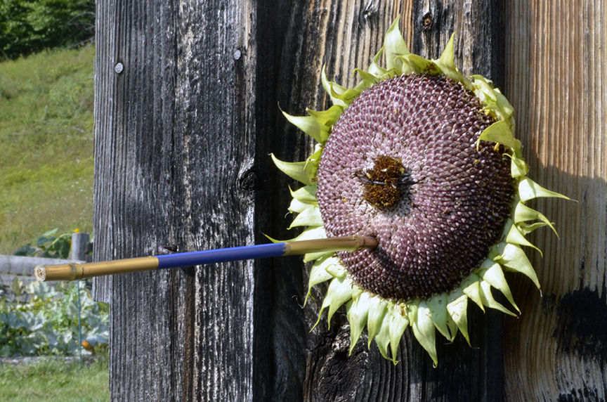 Blue_Sculpturefest_BirdFeeder_KingFarmweb