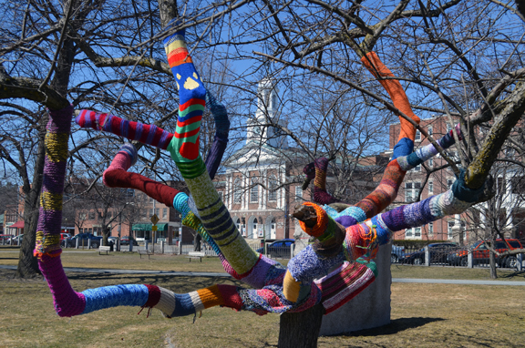 Social Practice Yarnbomb Colburn Park Lebanon NH